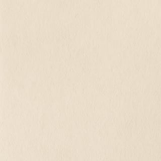 Light Beige Cream Cotton Paper Texture