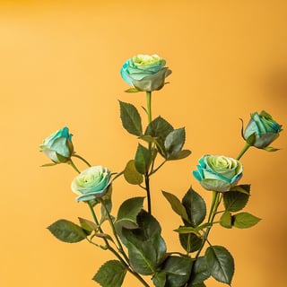 Realistic Neon Tea Roses Illustration