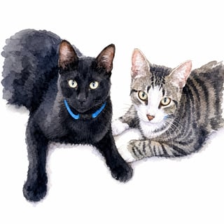 Watercolor Cats, Transparent Background