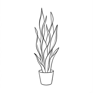 Minimalist Snake Plant Line Art