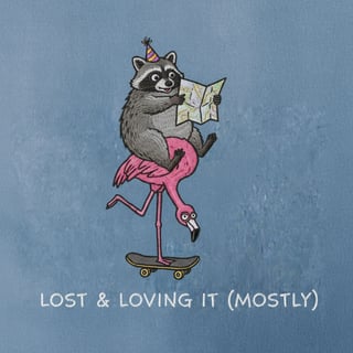 Funny Raccoon Adventures