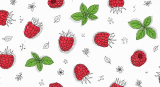 Vintage Raspberry & Basil Line Art