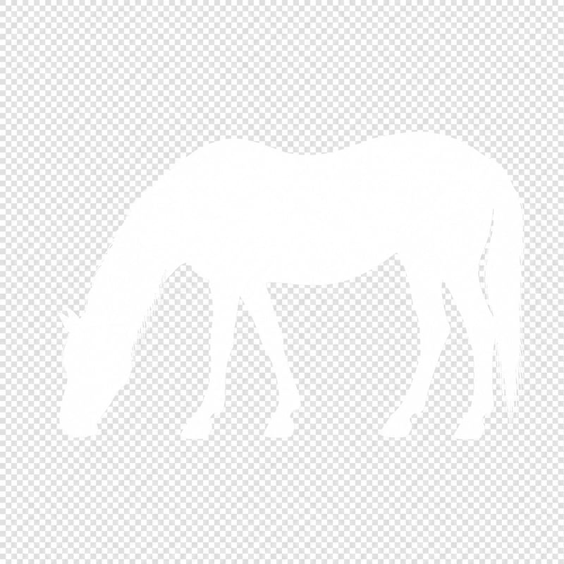 White Silhouette Horse Grazing