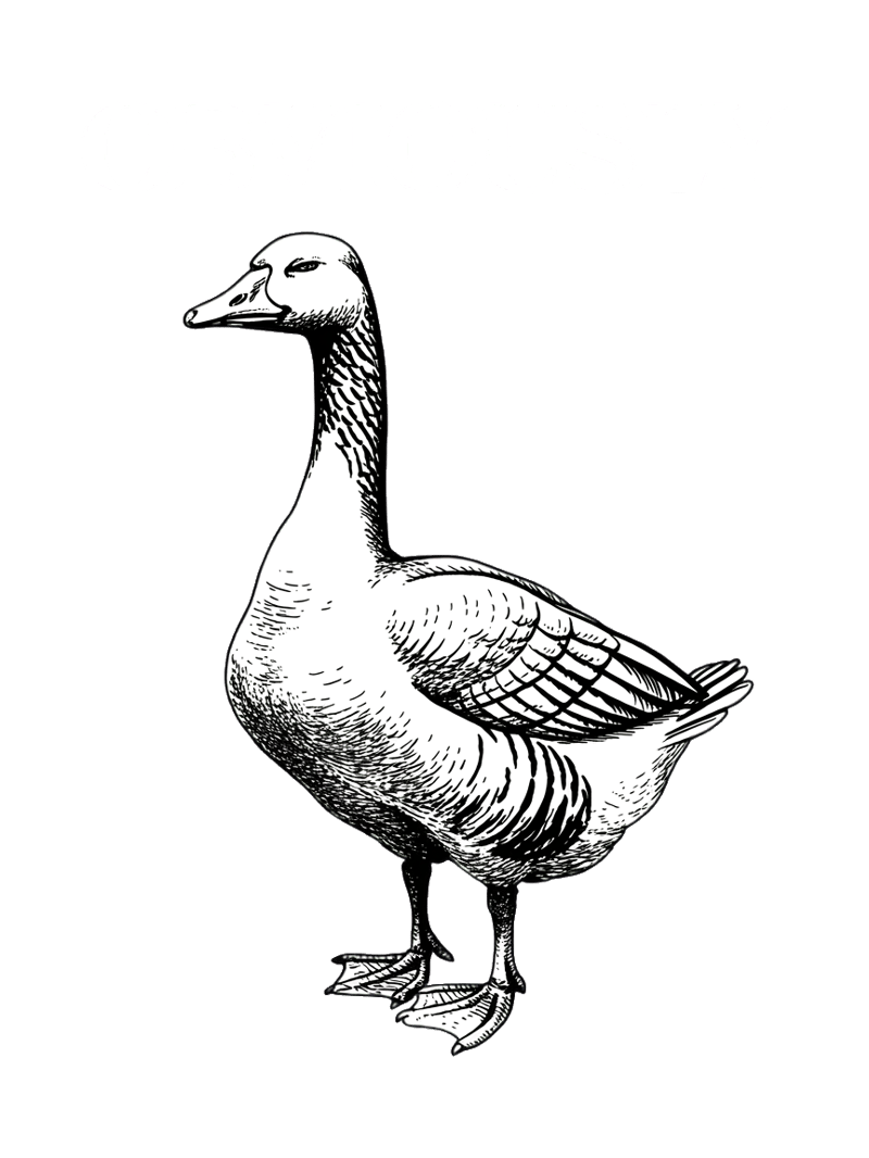 Confident Goose Illustration