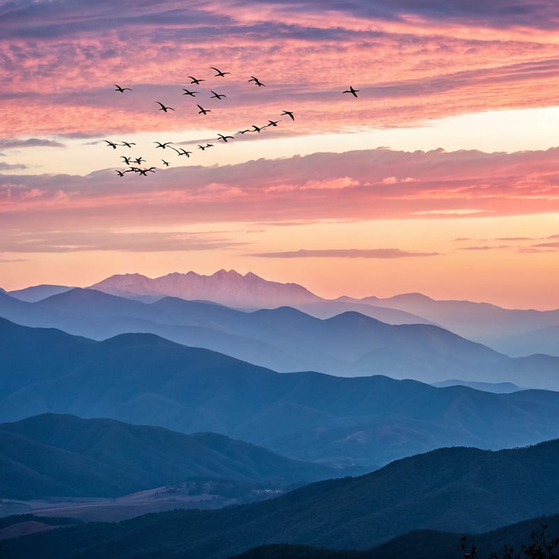 Pink Sunset Over Mountain Range