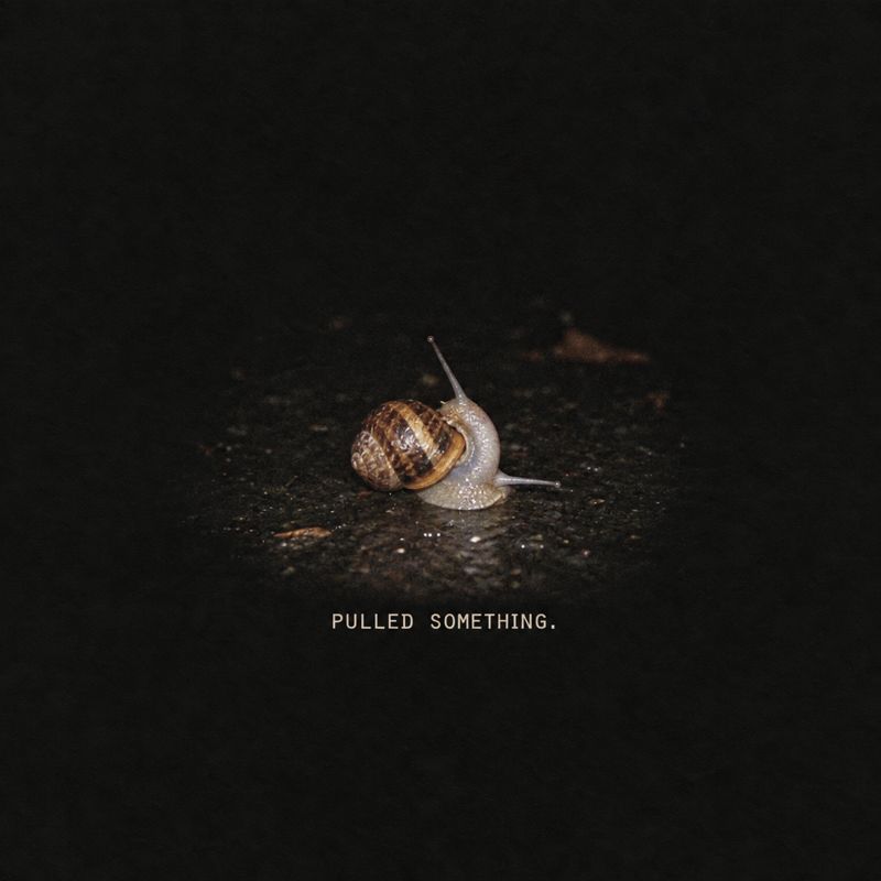 Snail T-Shirt Design - Deadpan Low-Res