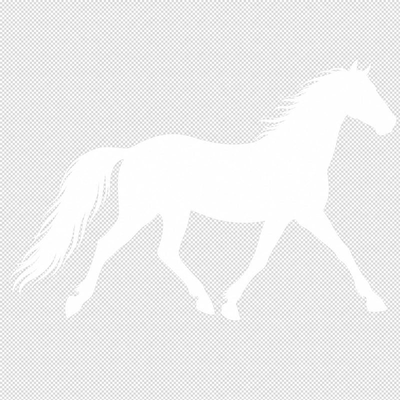 White Horse Silhouette in Trot