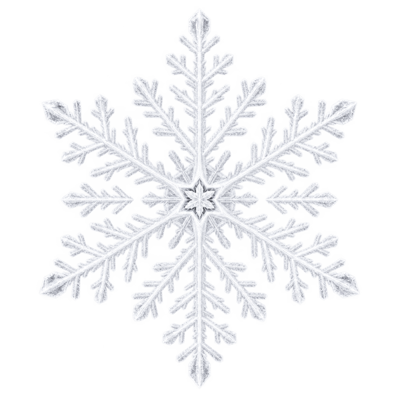 White Snowflake Close-Up