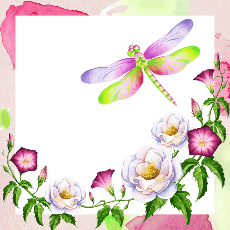 Watercolor Illustration of Dragonfly and Flowers