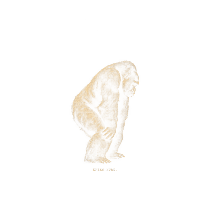 Vintage Gorilla KNEES HURT. T-Shirt
