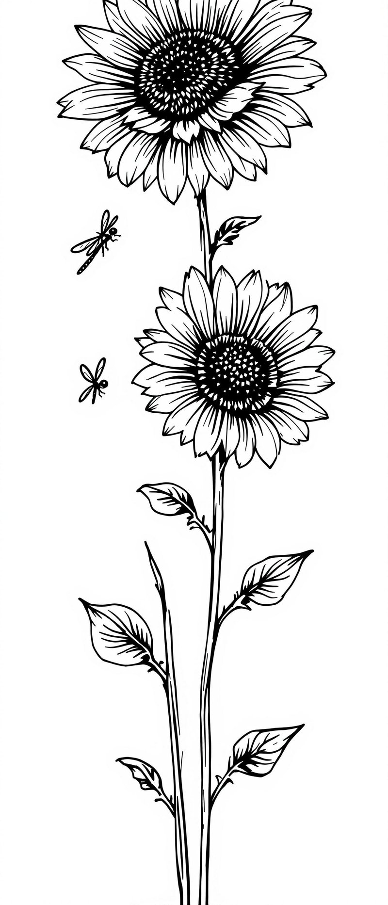 Black Line Art Sunflowers and Dragonfly