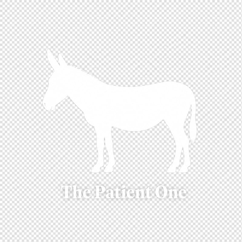 White Donkey Silhouette with Text