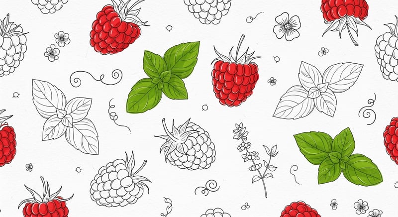 Vintage Raspberry & Basil Line Art