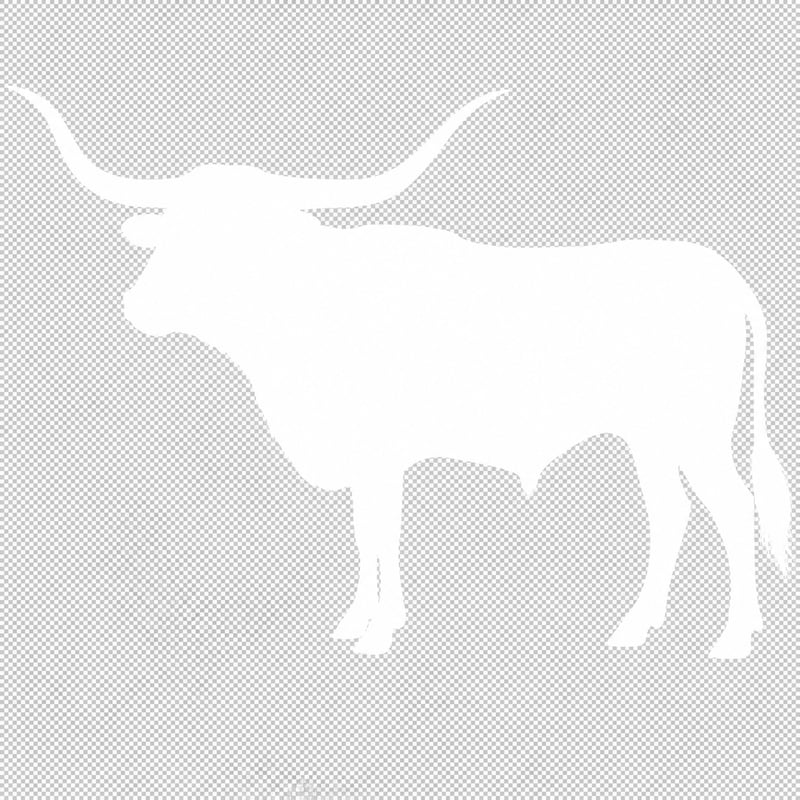 White Silhouette Longhorn Side Profile