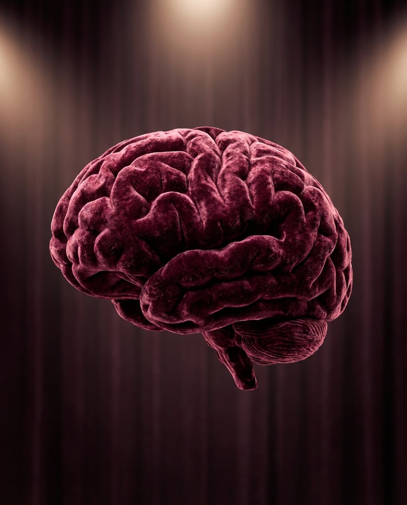 Velvet Fabric Human Brain Illustration