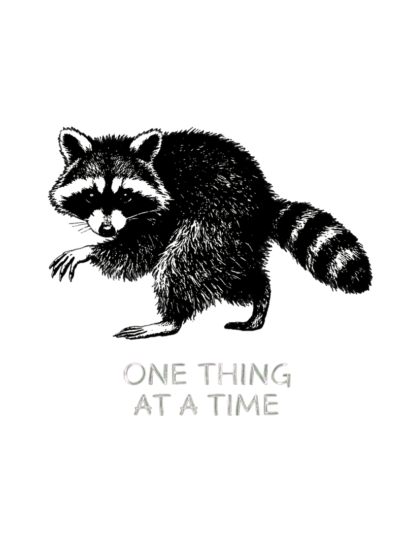 Scratchy Ink Raccoon Illustration