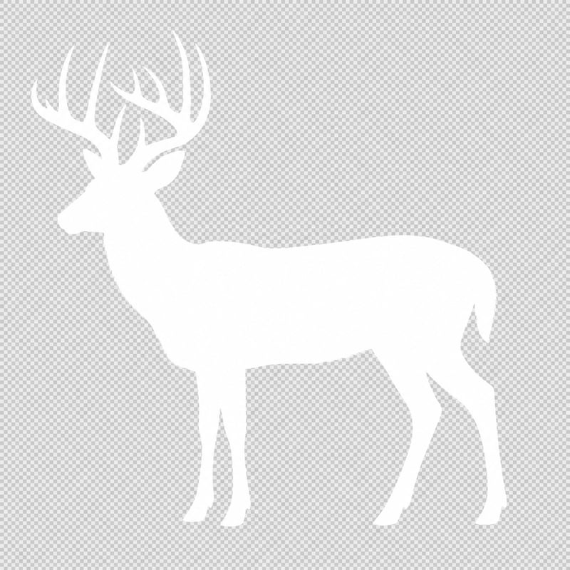 White Silhouette of Whitetail Buck