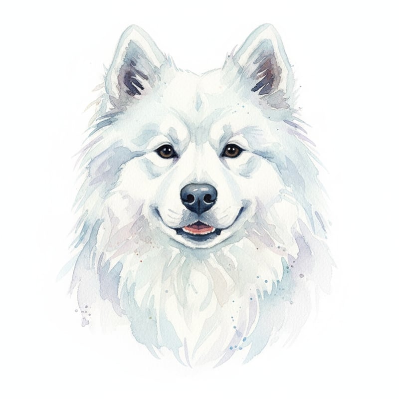 Watercolor Samoyed Dog Portrait