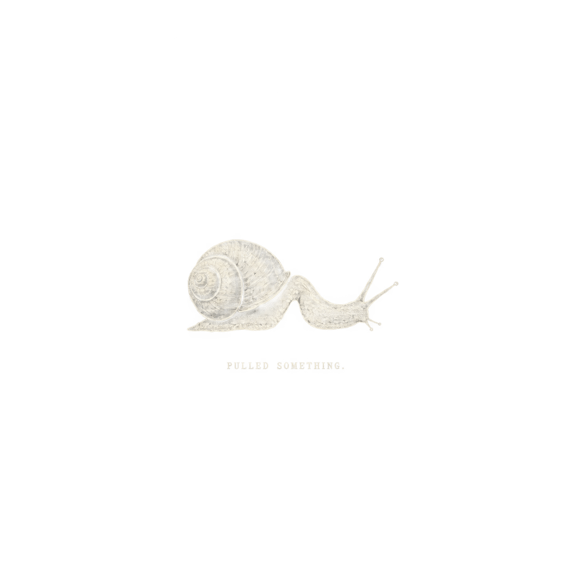 Minimal Vintage Snail T-shirt Design