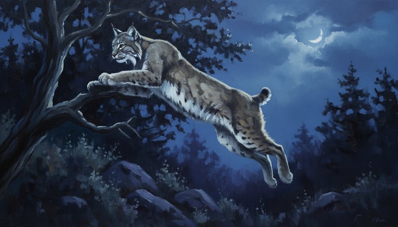 Nocturne Bobcat Oil Painting