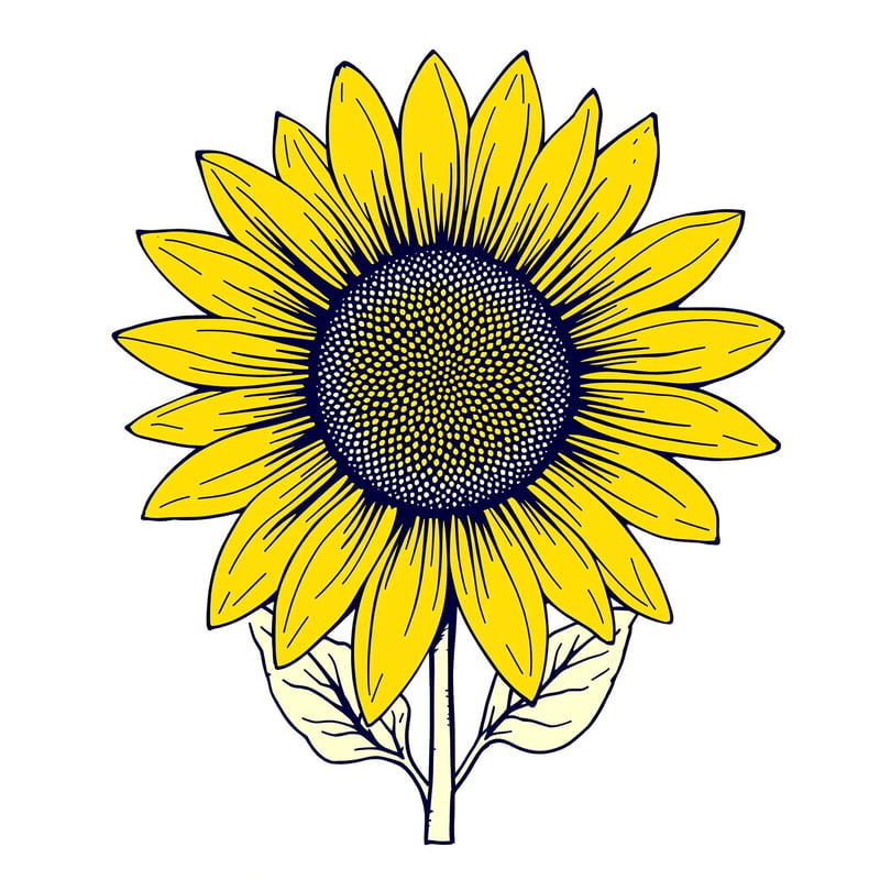 Minimalist Sunflower Line Art
