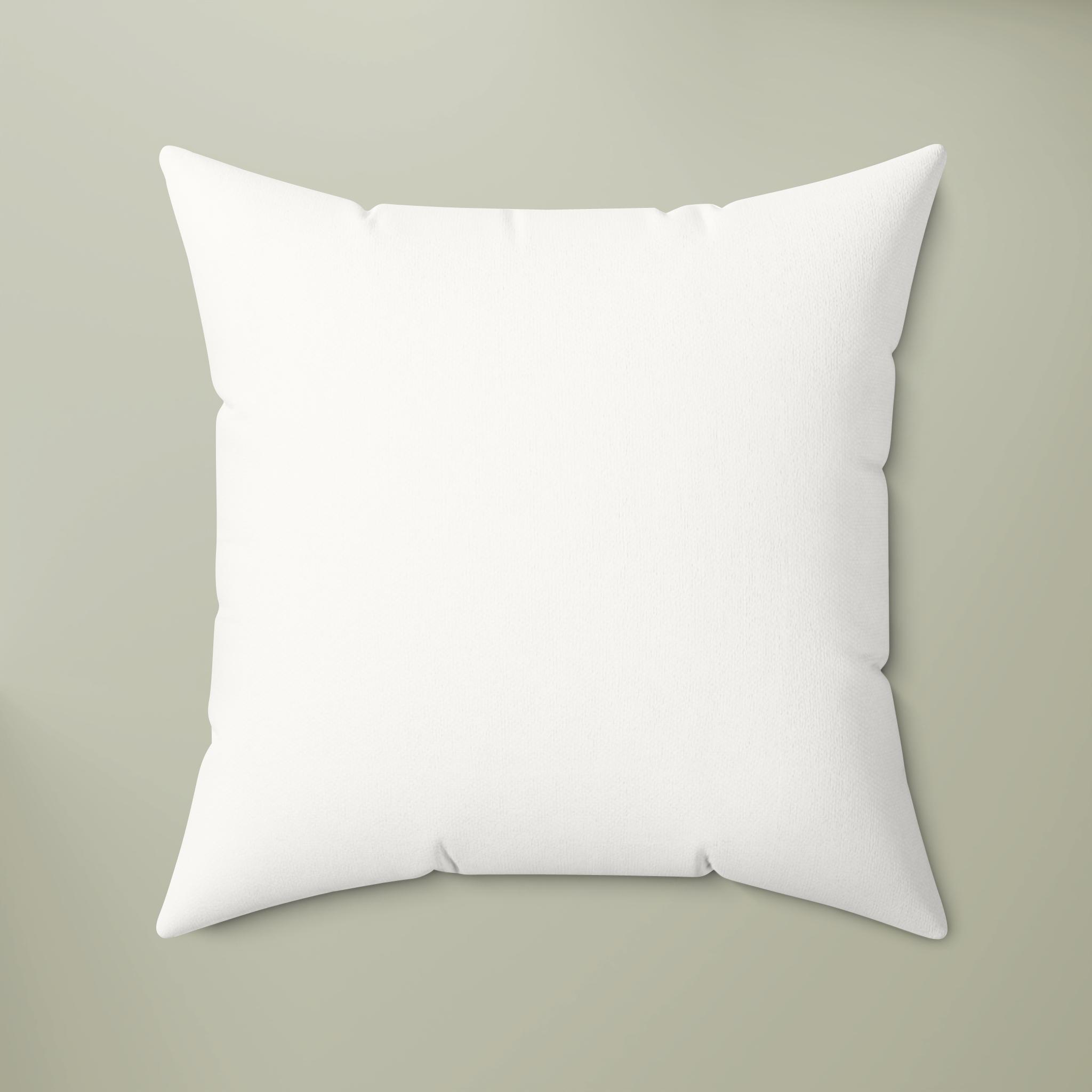 Product Catalog Preview Image Faux Suede Square Pillow