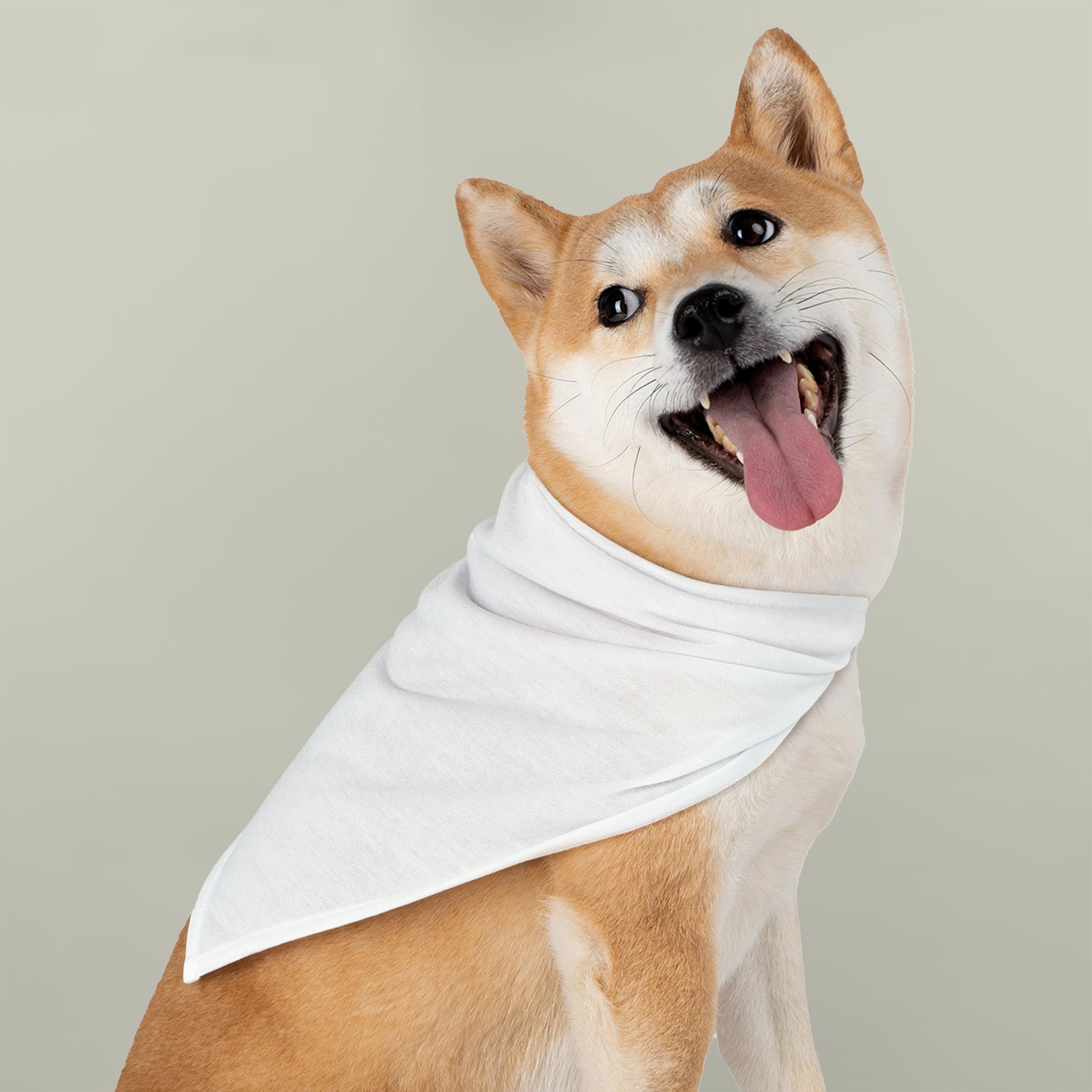 Product Catalog Preview Image Pet Bandana